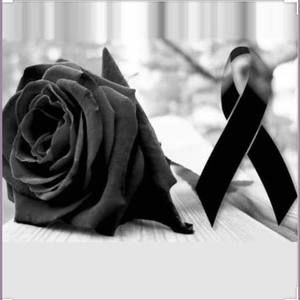 Meet your Posher, Jasmin